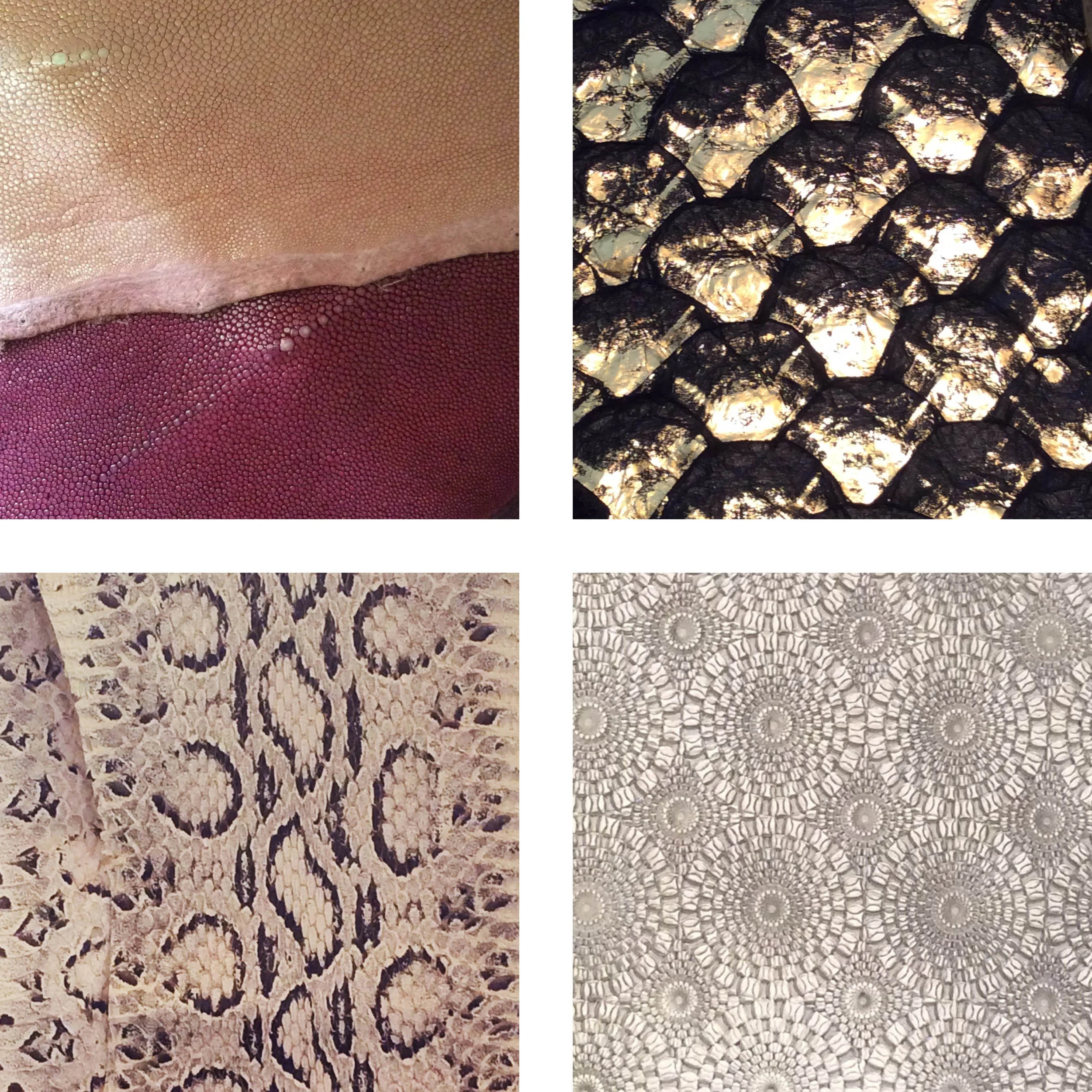 Propste Blog Pages4.jpg