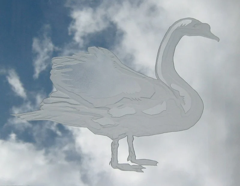 Land - swan.jpg