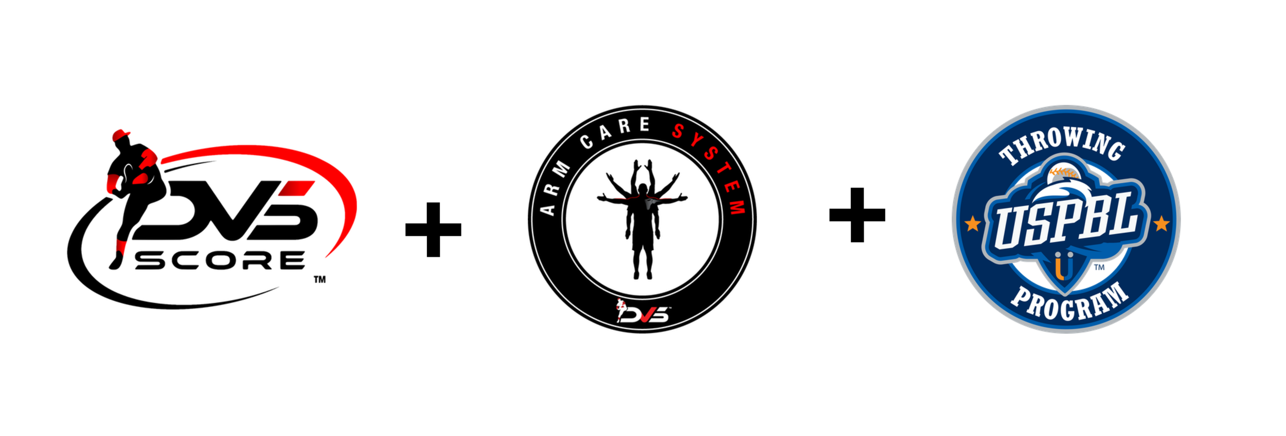 Development System Logo.png
