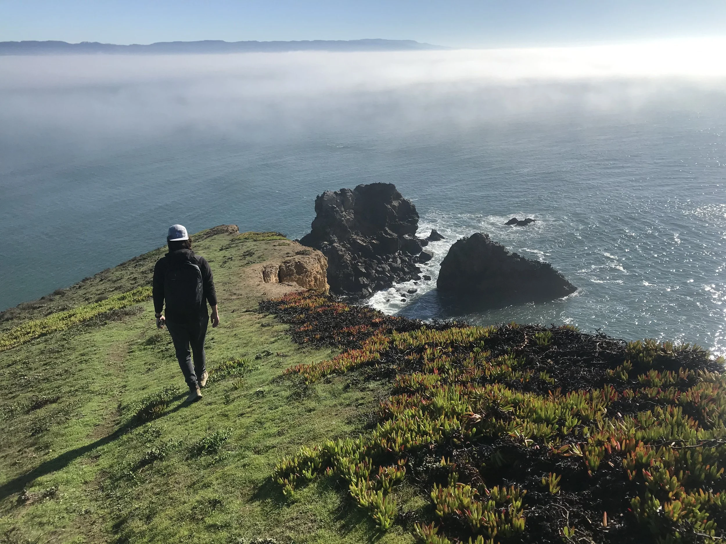 joel leeman background 2.JPG