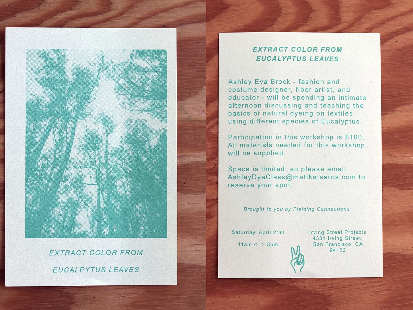 Extracting Color from Eucalyptus with Ashley Eva Brock