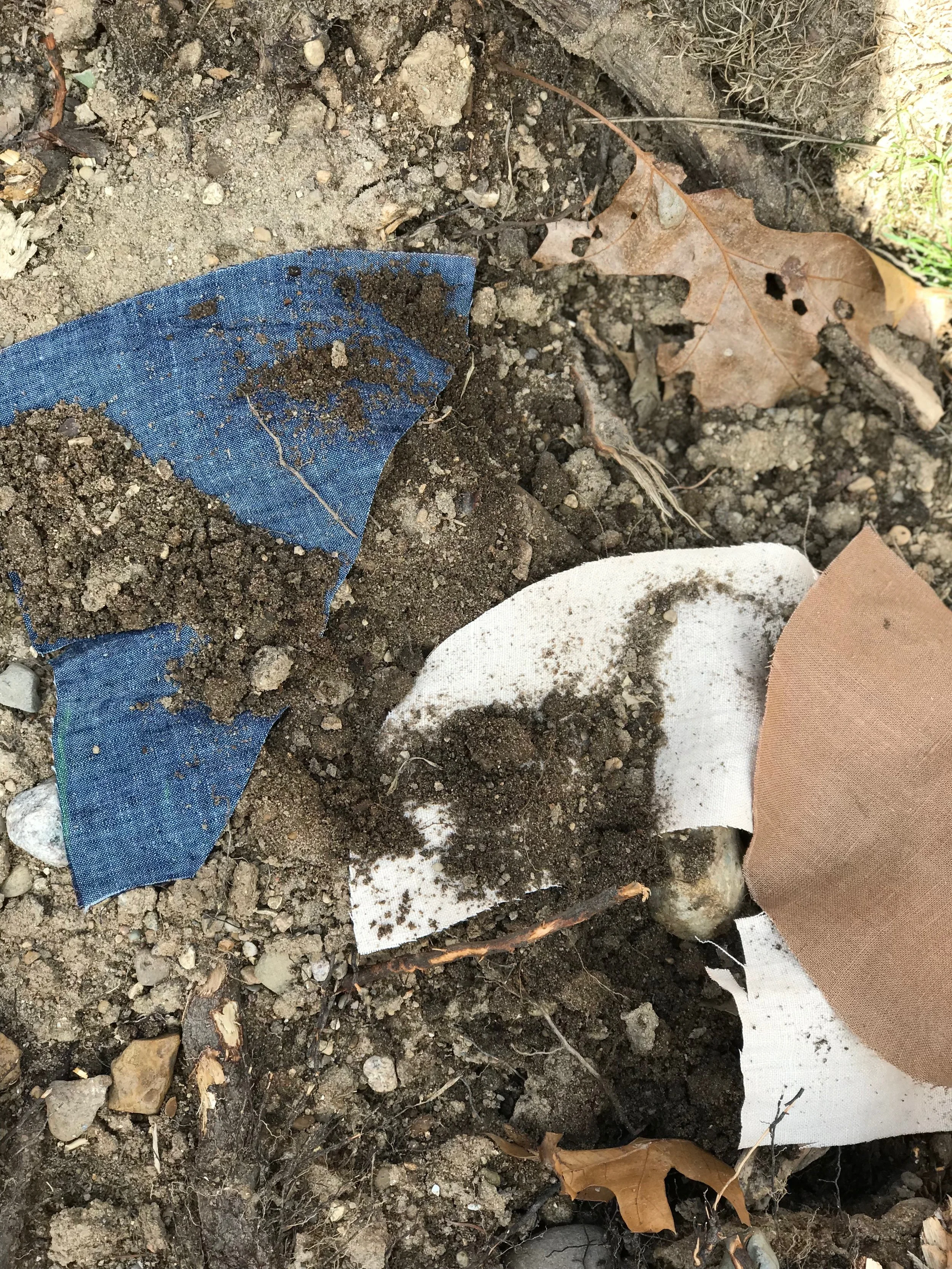 linen and hemp back in the ground