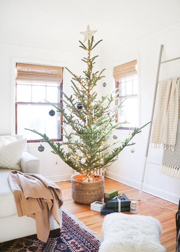 10 Ways to Reduce Waste This Holiday Season - Opt for a Potted Tree