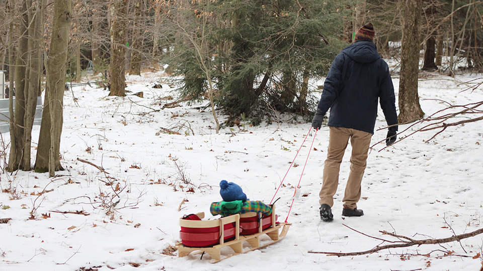 20150119-mknox-sled.png