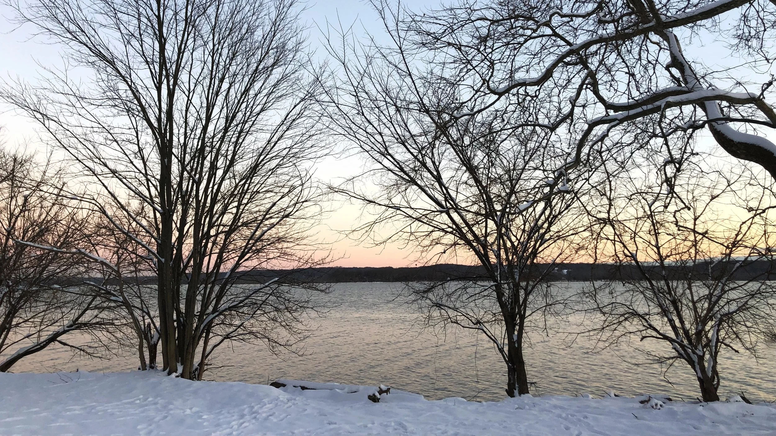 2019-01-14+17.11.28-1.jpg