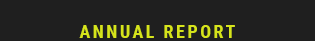Annual-Report.png