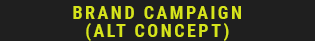 brand-campaign-alt.png