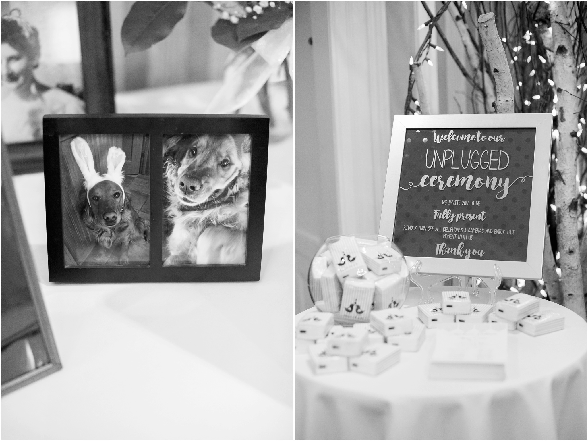 Madison_Club_Madison_Wisconsin_Wedding_Photographer_Spring_Rainy_Wedding_2646.jpg