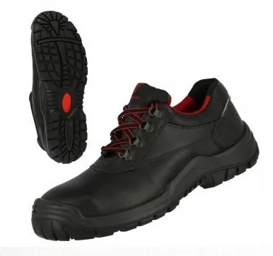 PowerStep7210.jpg