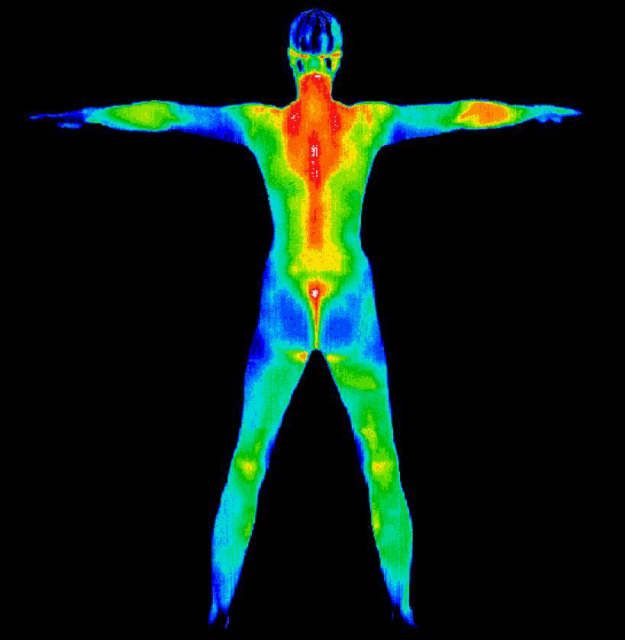 Thermography - a better screening tool for your health with Tammy Kohlschmidt RDH,CCT,CBP