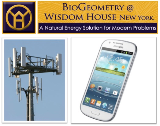BioGeometry: A Natural Energy Solution for Modern Problems
