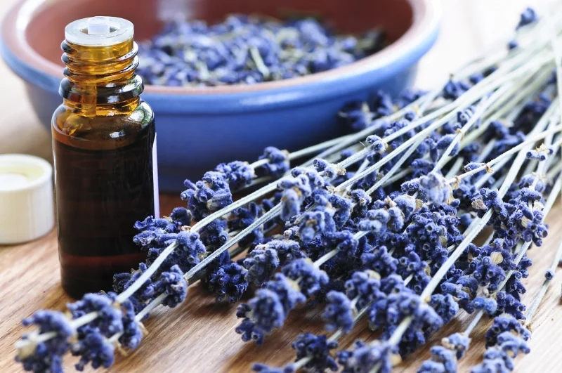 Dr Mom with Essential Oils