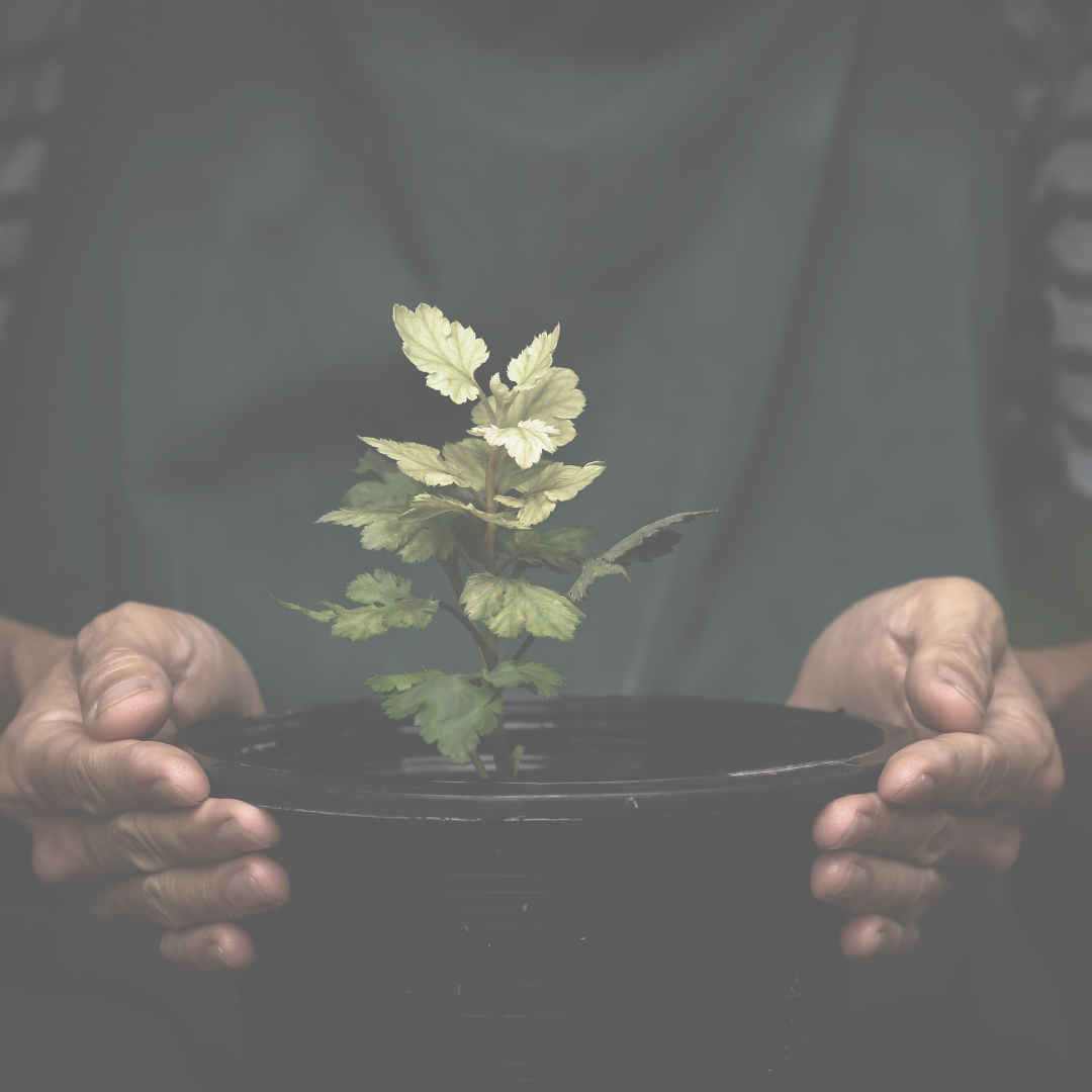 Start Strong: Building A Foundation for Growth
