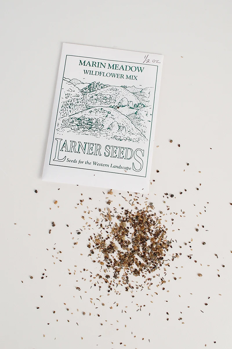 Edition-Local-Judith-Larner-Marin-Meadow-Seeds-4.jpg