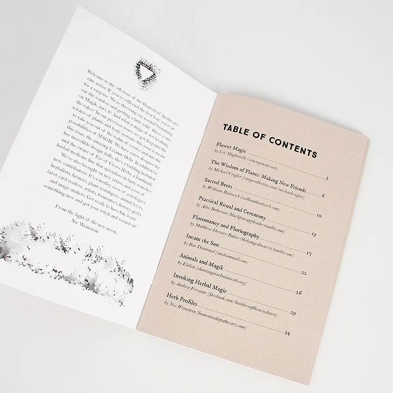 Homestead-Apothecary-Zines-Magic-Magik-5.jpg