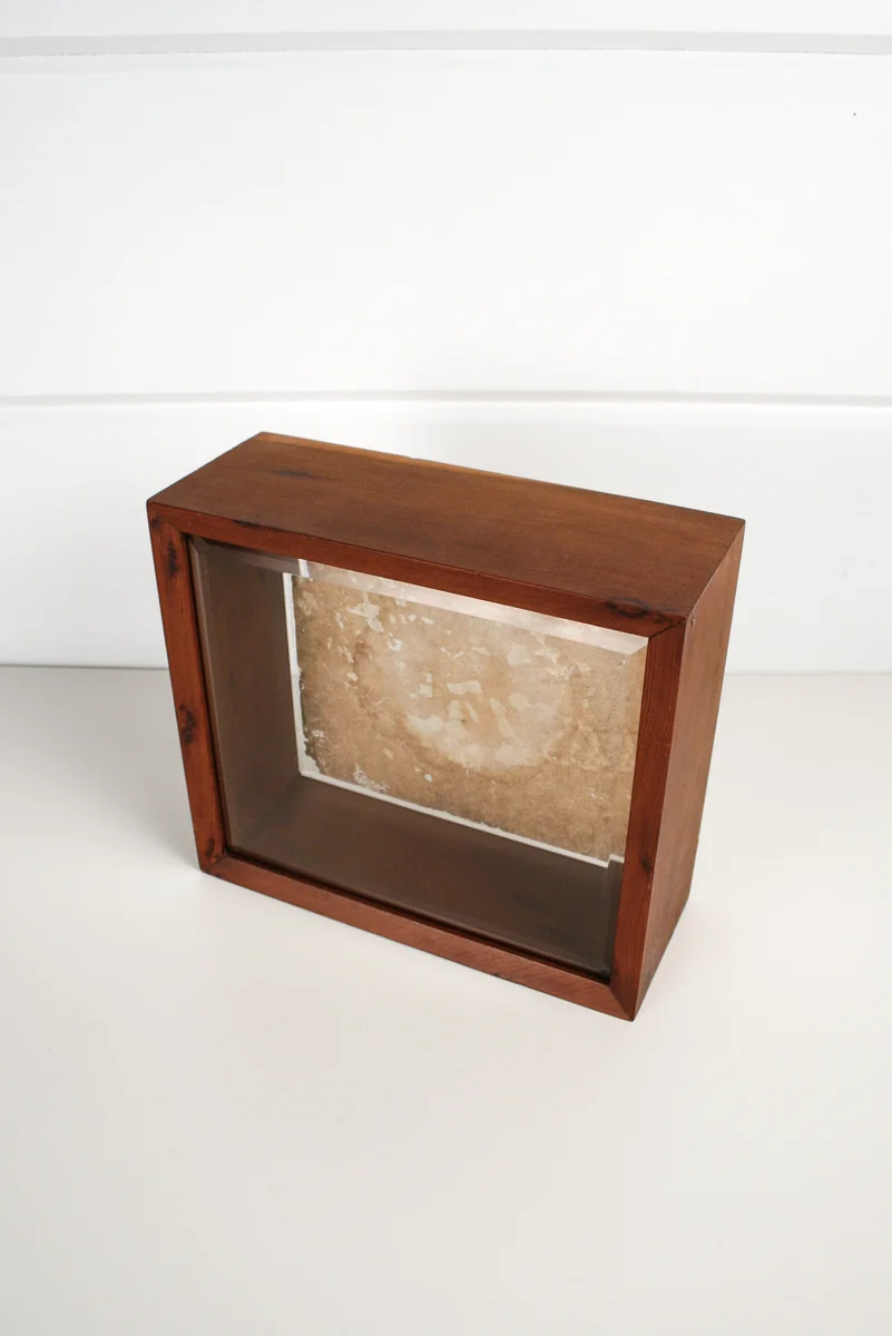 Edition Local Ido Yoshimoto Amanita Muscaria Shadow Box-9650.jpg