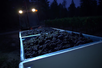 Whistler Pick Bins.jpg