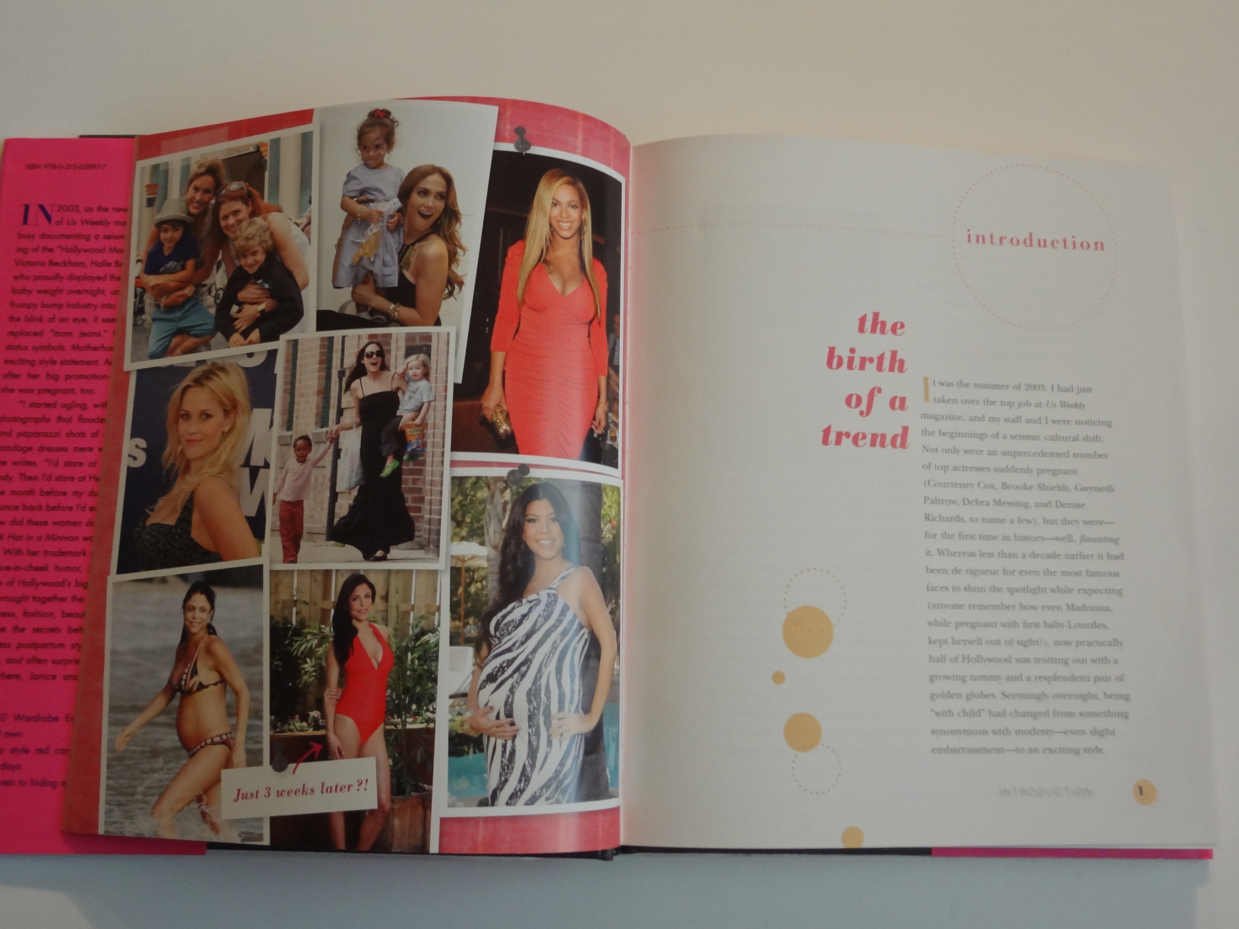 Andrea-Fenise-Style-Book-2015