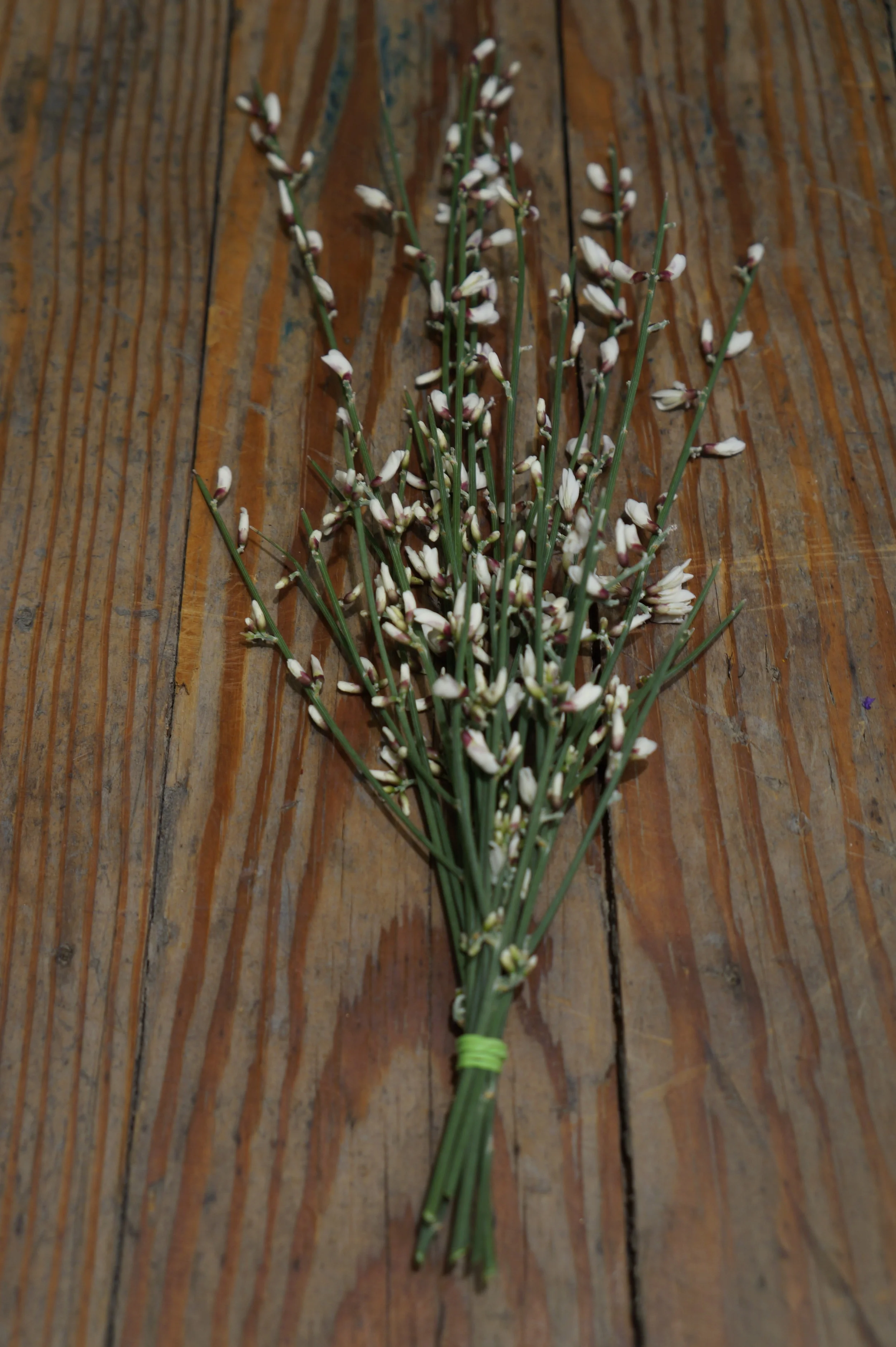 Andrea-Fenise-DIY-Floral-Vase