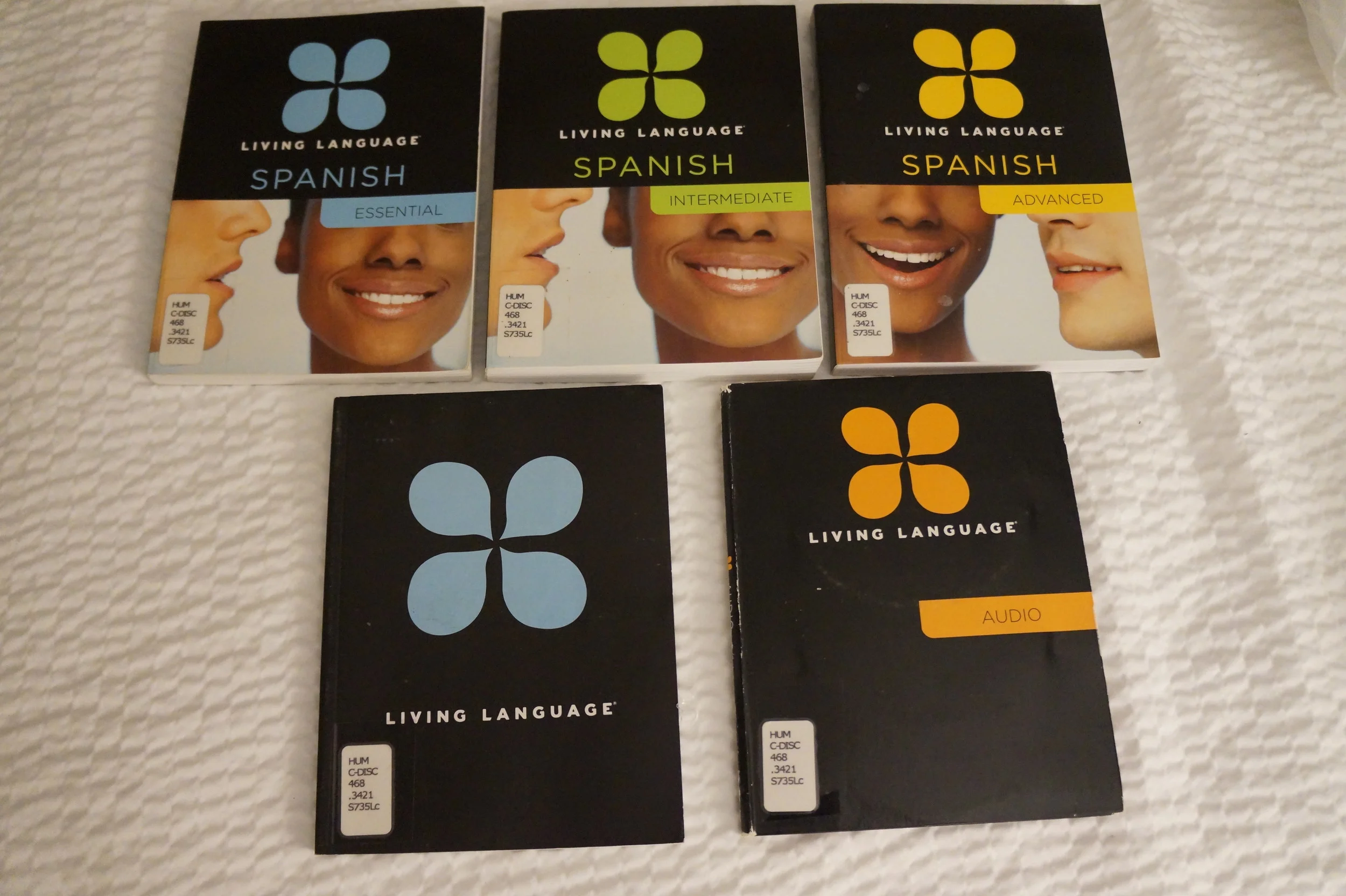 Andrea Fenise Memphis Fashion Blogger shares Why Every Woman should learn a second language