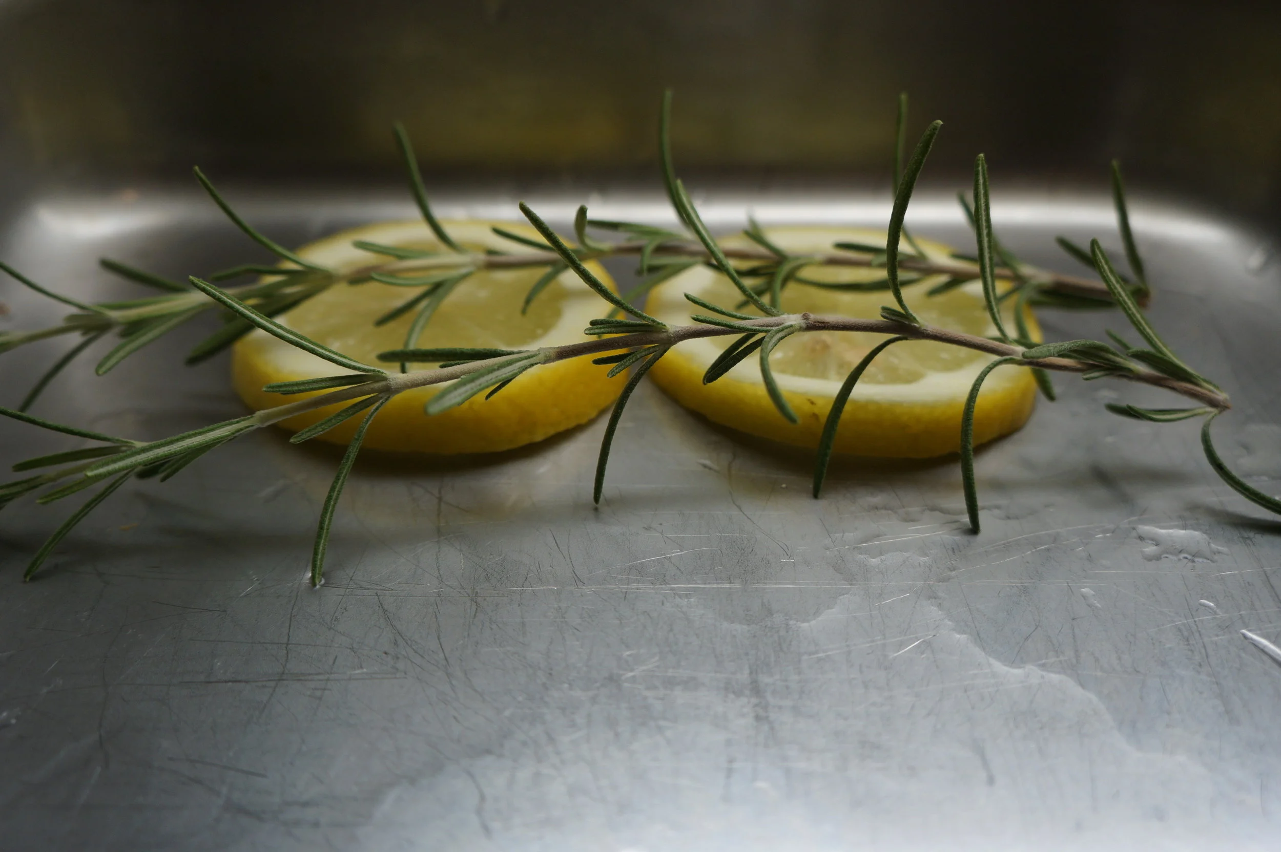 Andrea Fenise Lemon and Rosemary Baked Salmon Recipe 