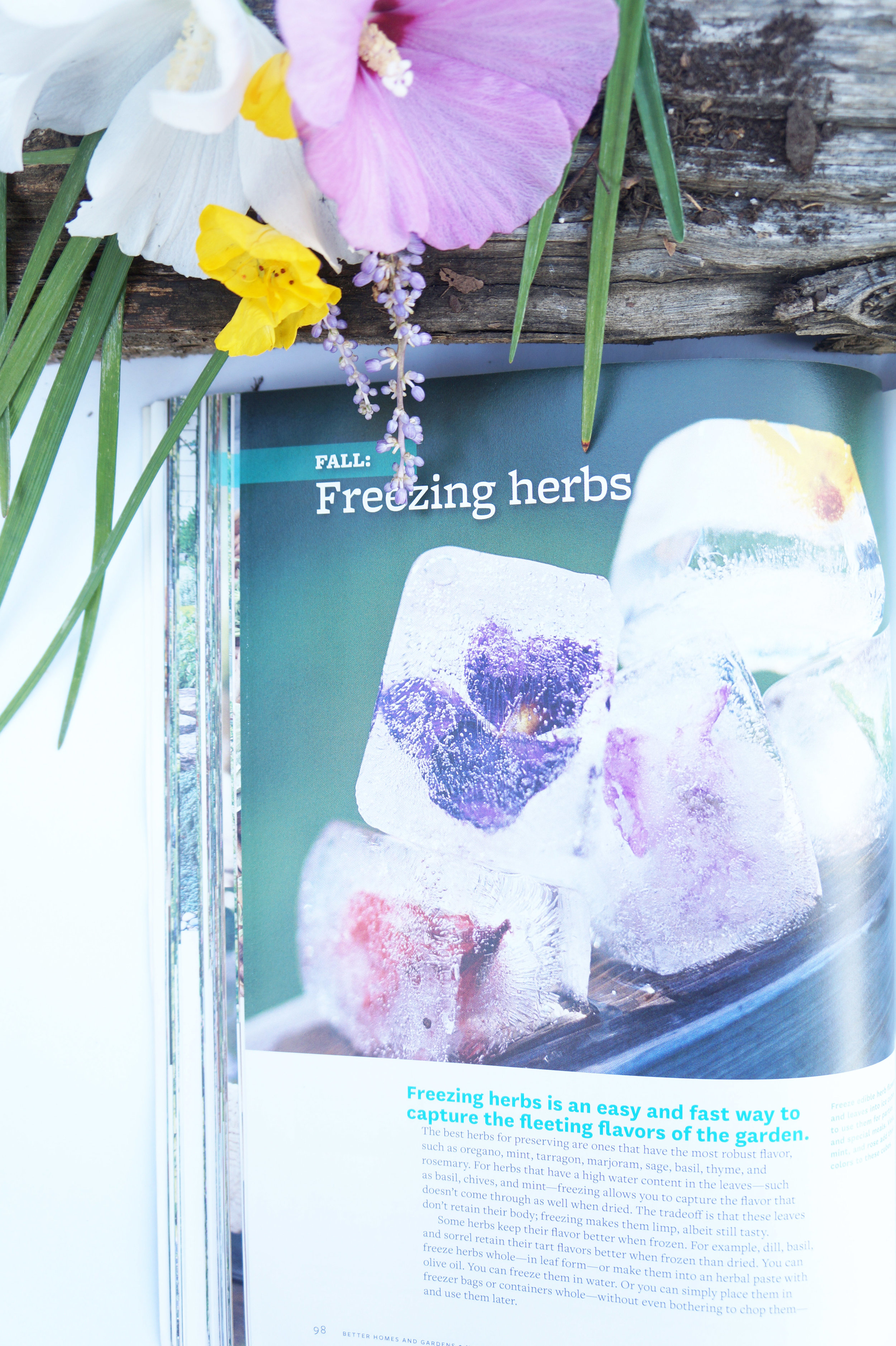 Andrea Fenise Memphis Fashion Blogger Better Homes and Garden Book Review