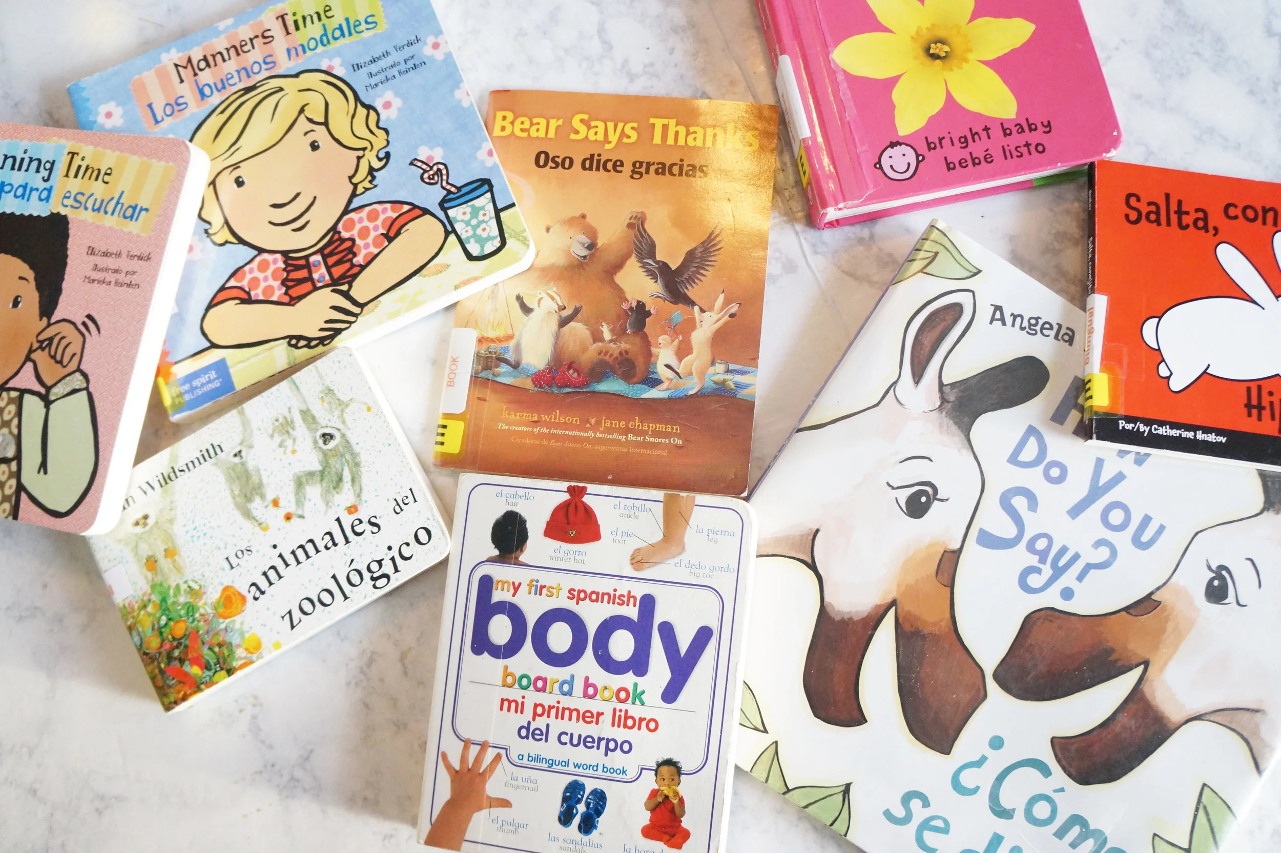 Andrea Fenise Memphis Fashion Blogger shares how she began to learn spanish by reading children's bilingual books