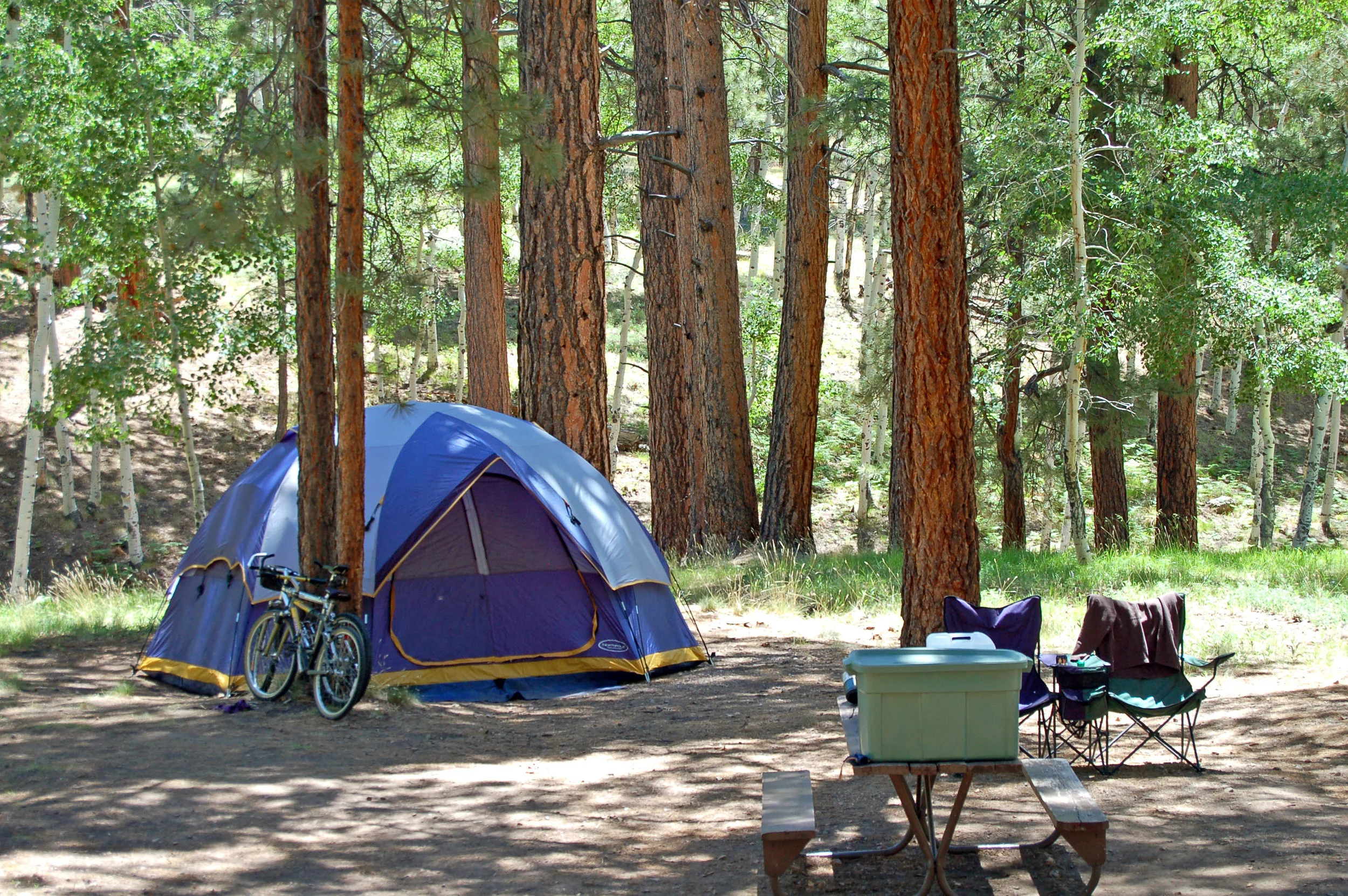 Andrea Fenise Memphis Fashion Blogger shares Go Camping 40before40 goals