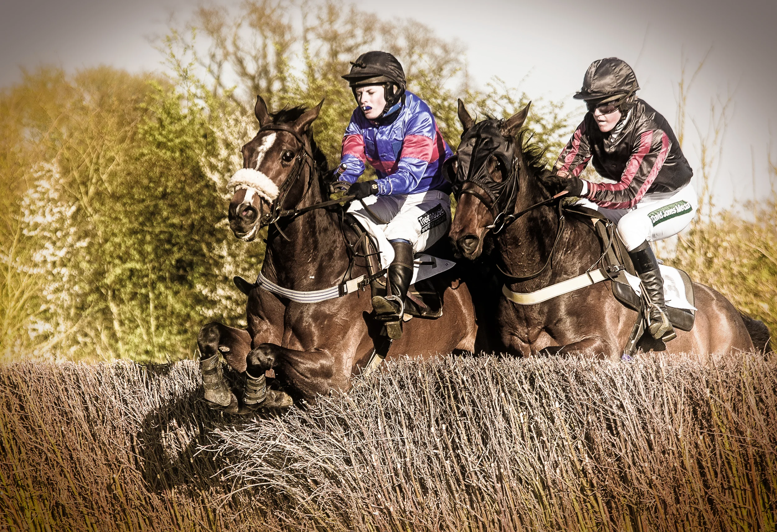 Howe_20140316_point-to-point_0214.jpg
