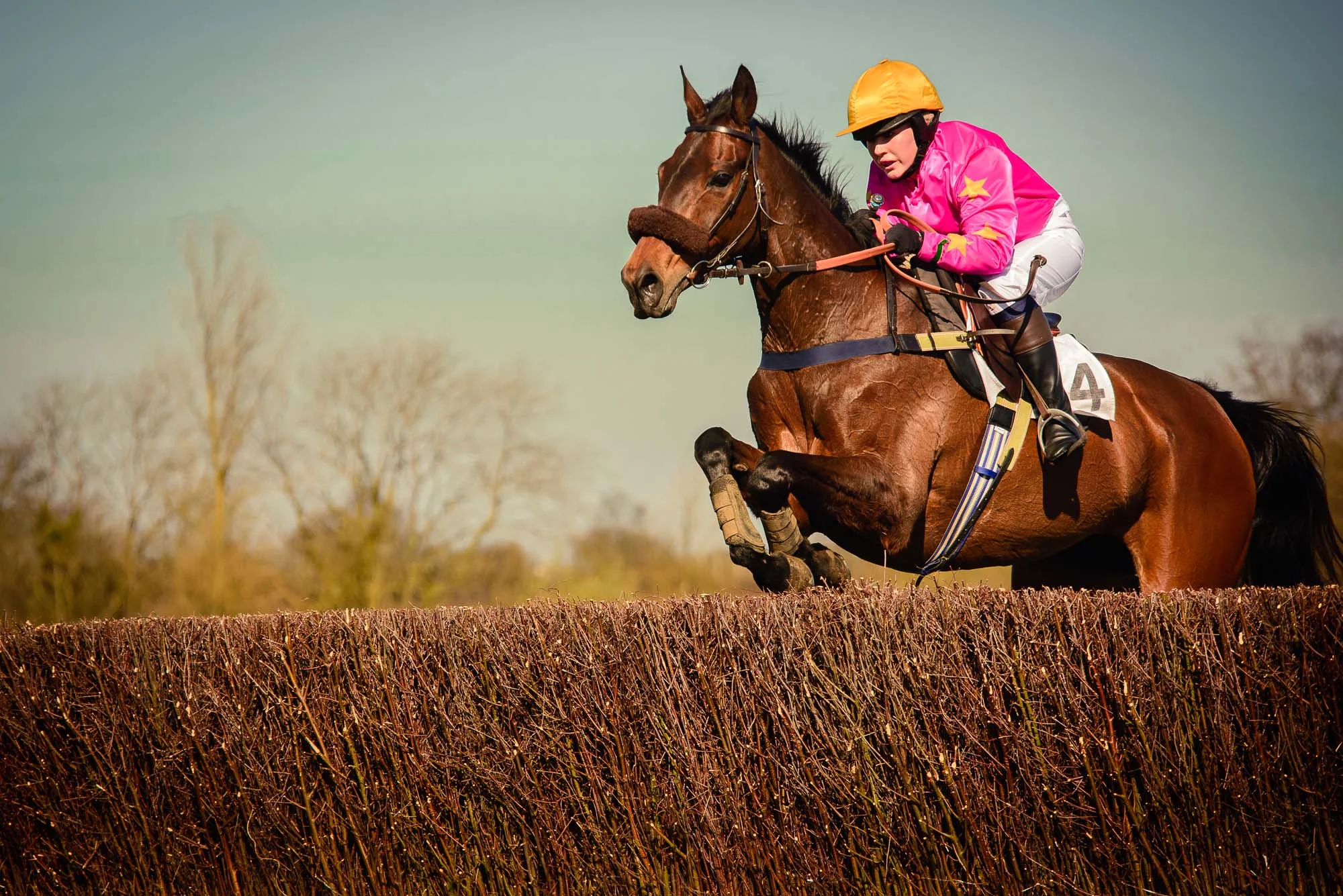 Howe_20140316_point-to-point_0054.jpg