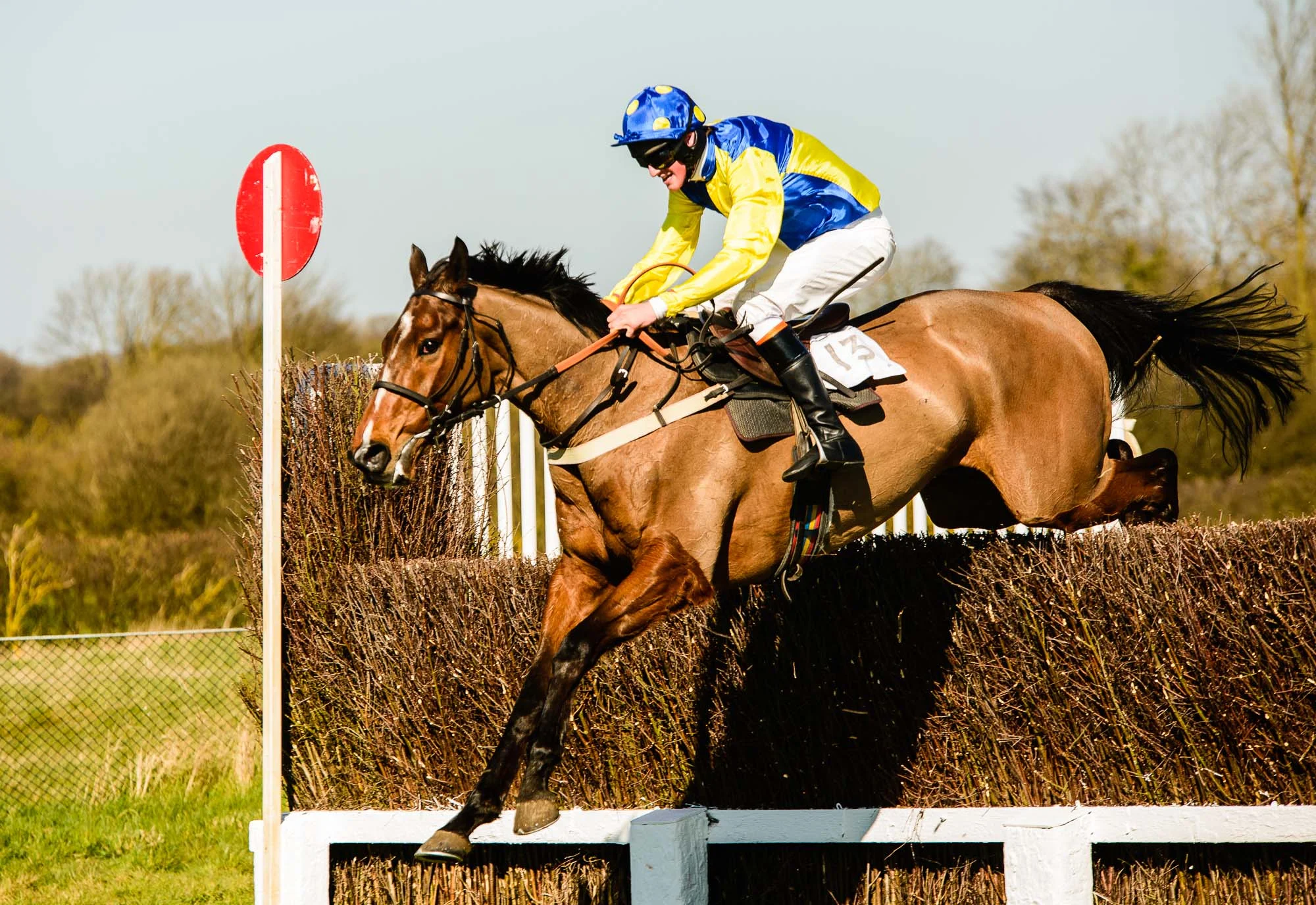 Howe_20140316_point-to-point_0065.jpg