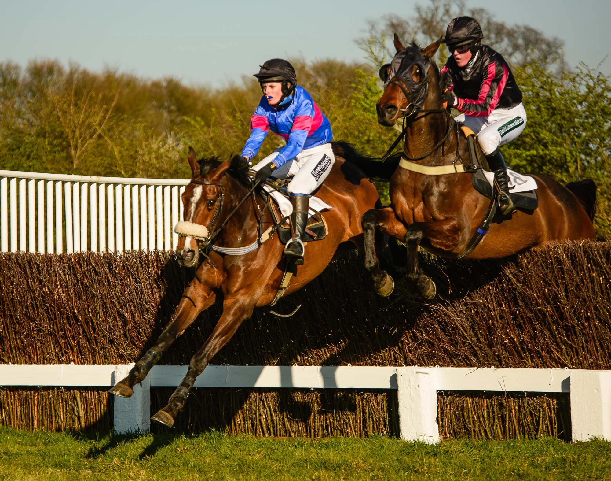 Howe_20140316_point-to-point_0215.jpg