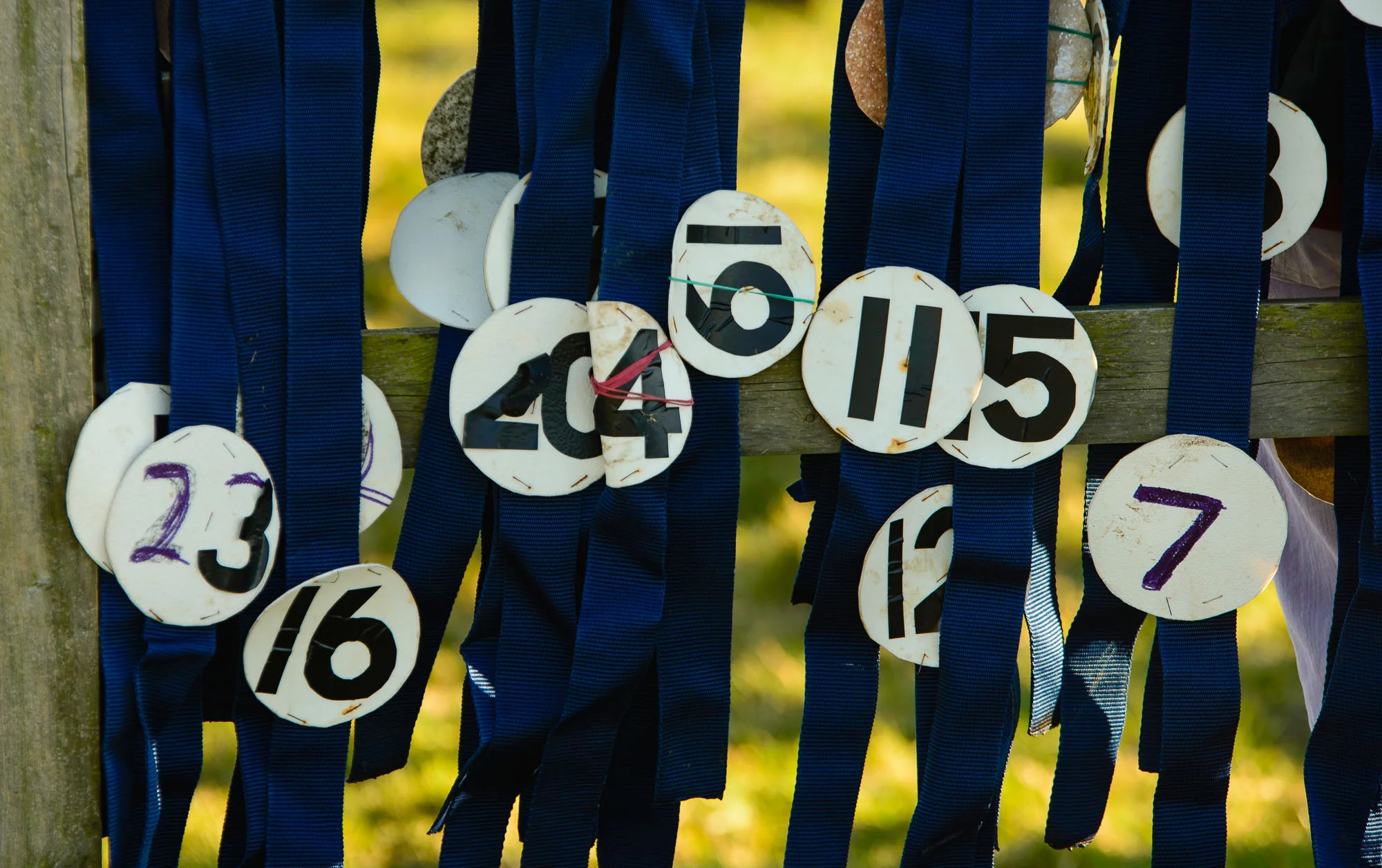 Howe_20140316_point-to-point_0252.jpg