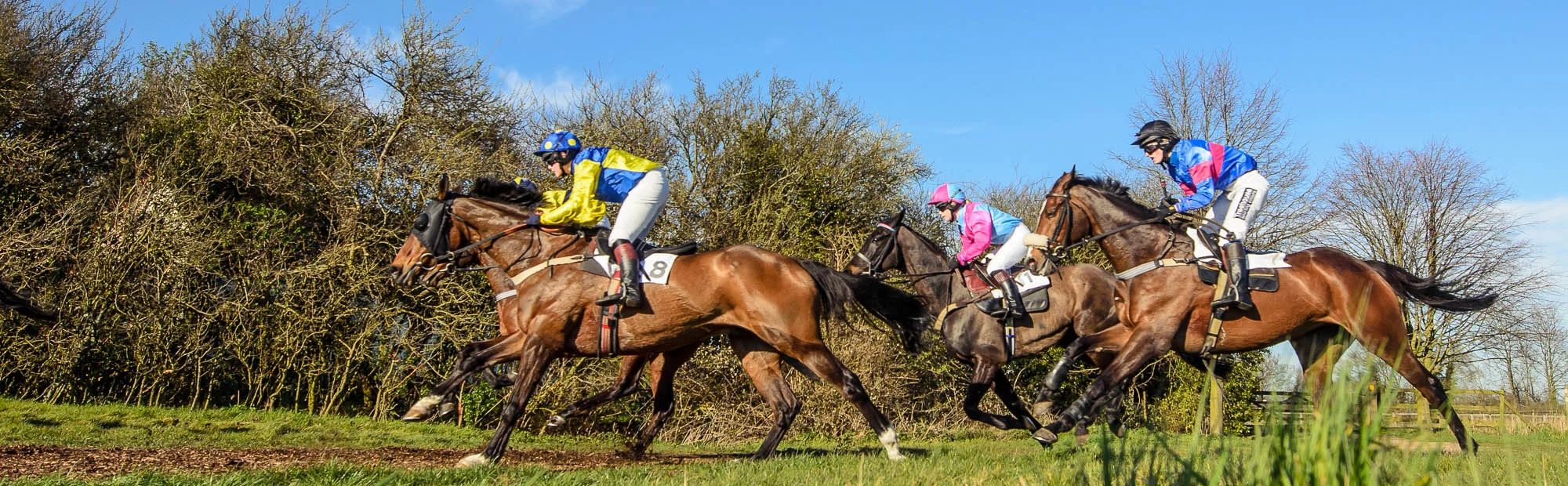 Howe_20140316_point-to-point_0411.jpg