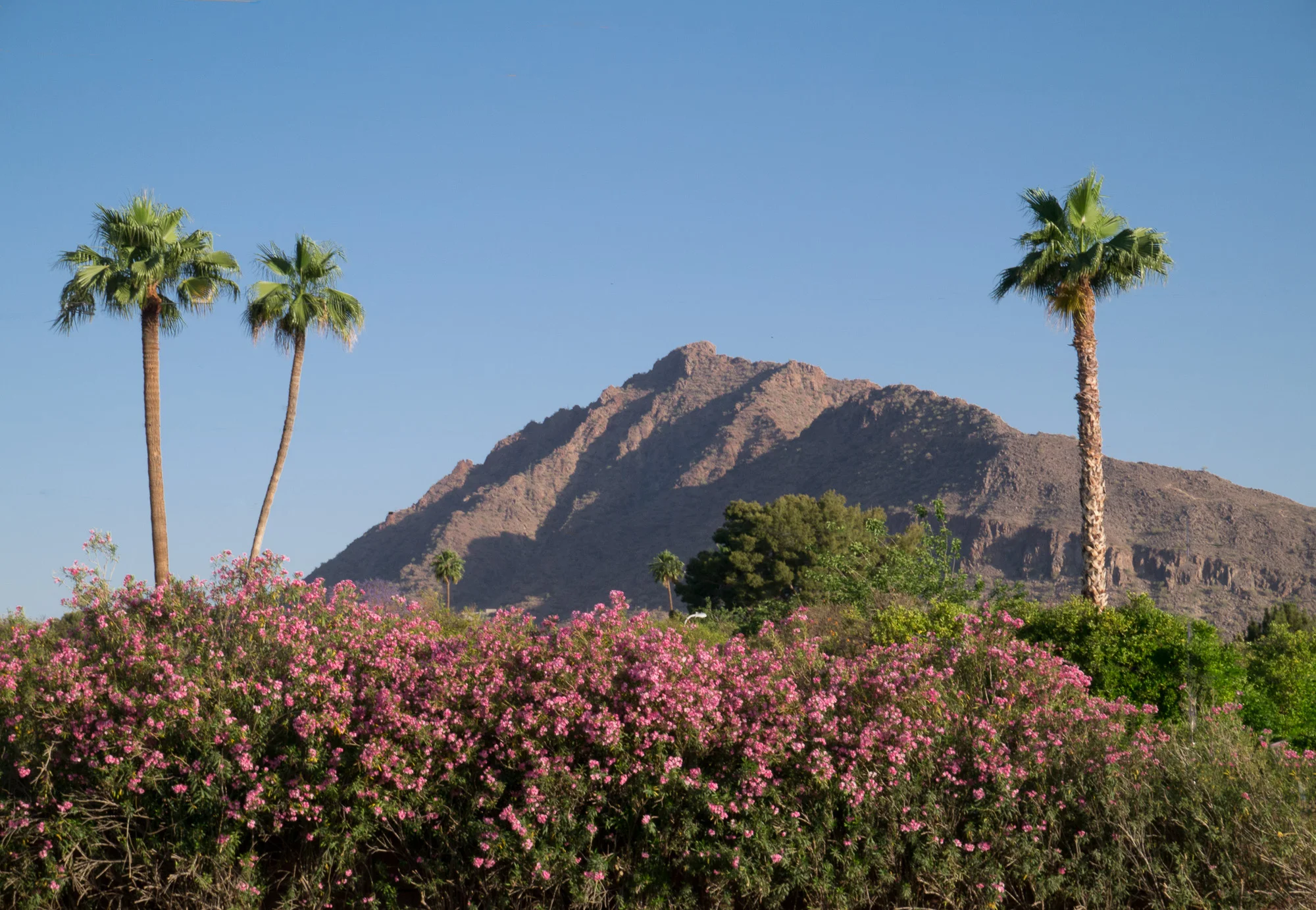 Scottsdale to San Diego
