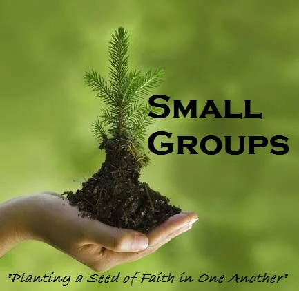  Launching This Lent. (Wed 17 at 2pm & Thurs 18 at 7pm)