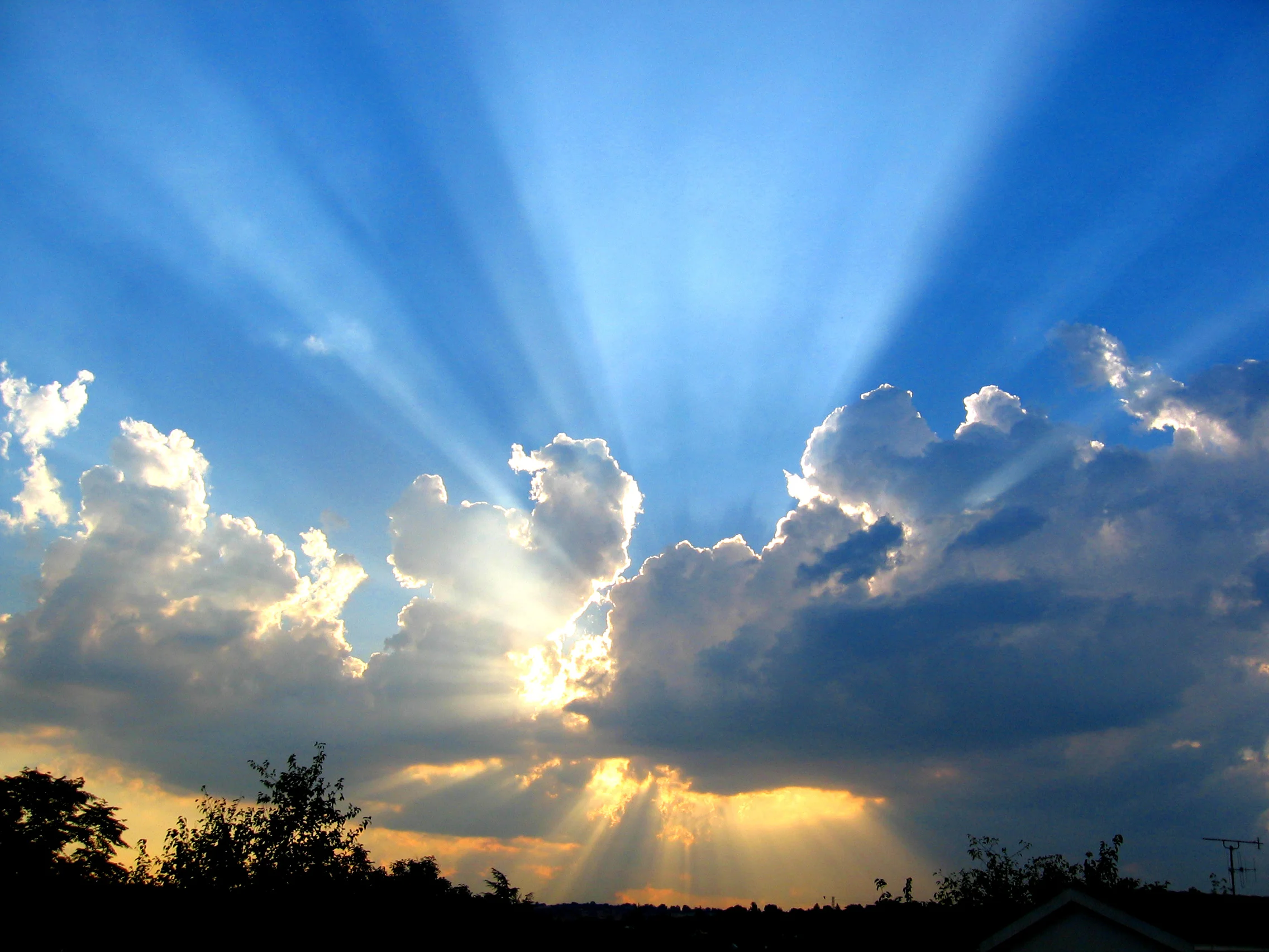 sunlight.jpg