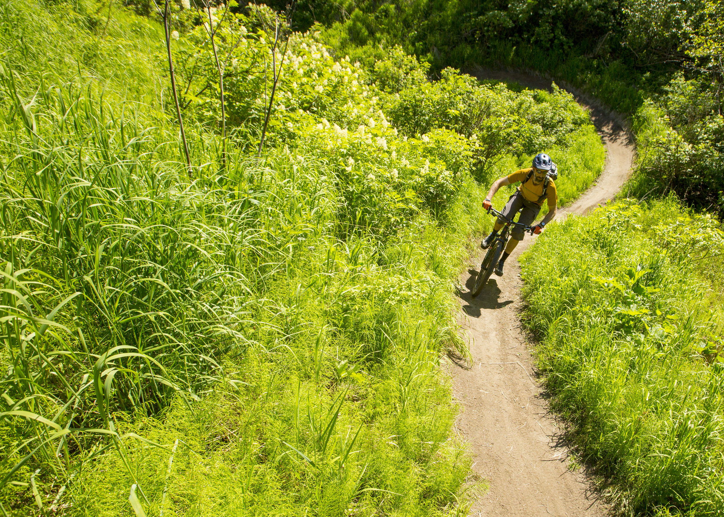 Our Trails Singletrack Advocates