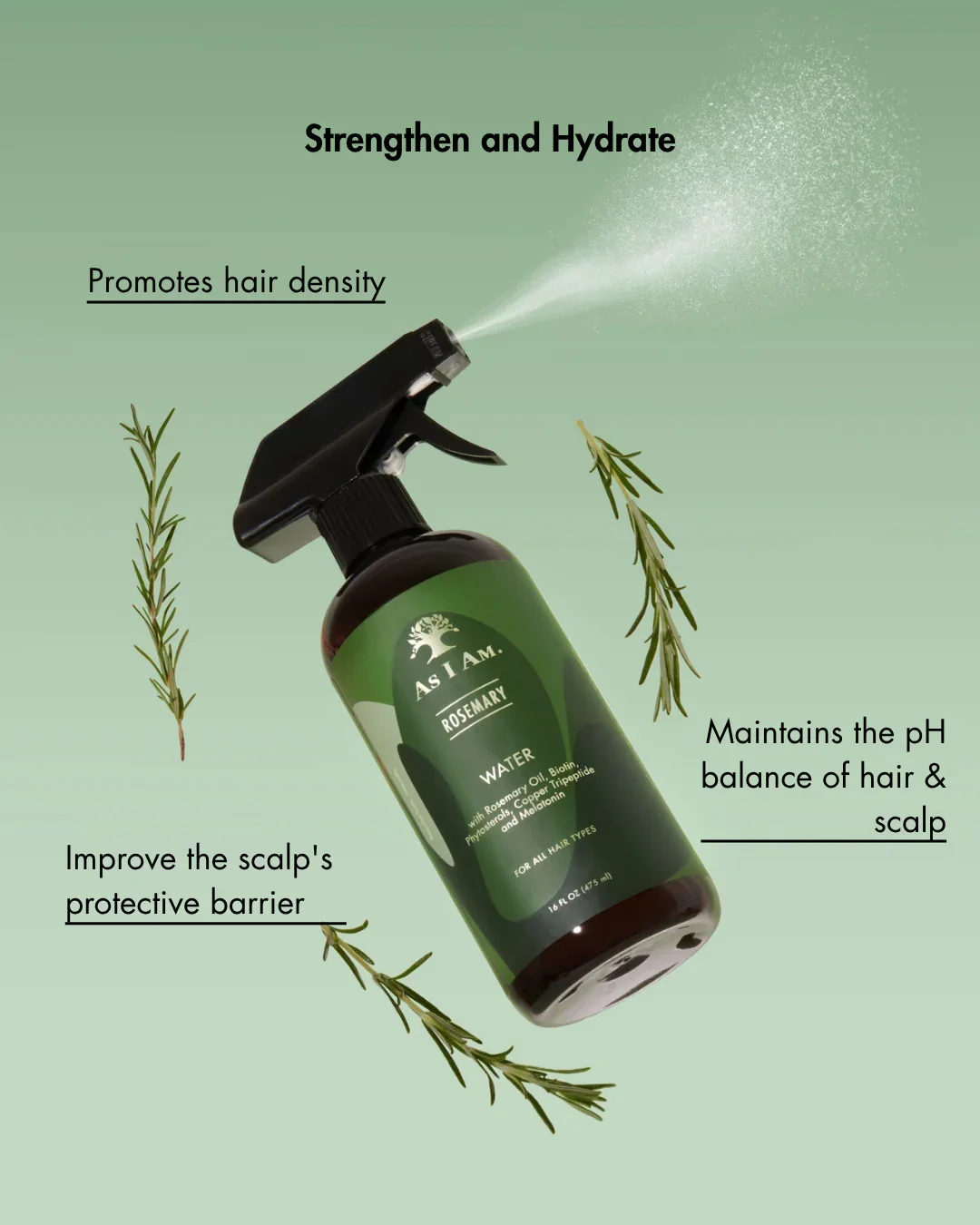 Rosemary_Water_spray_key_points_slide.webp
