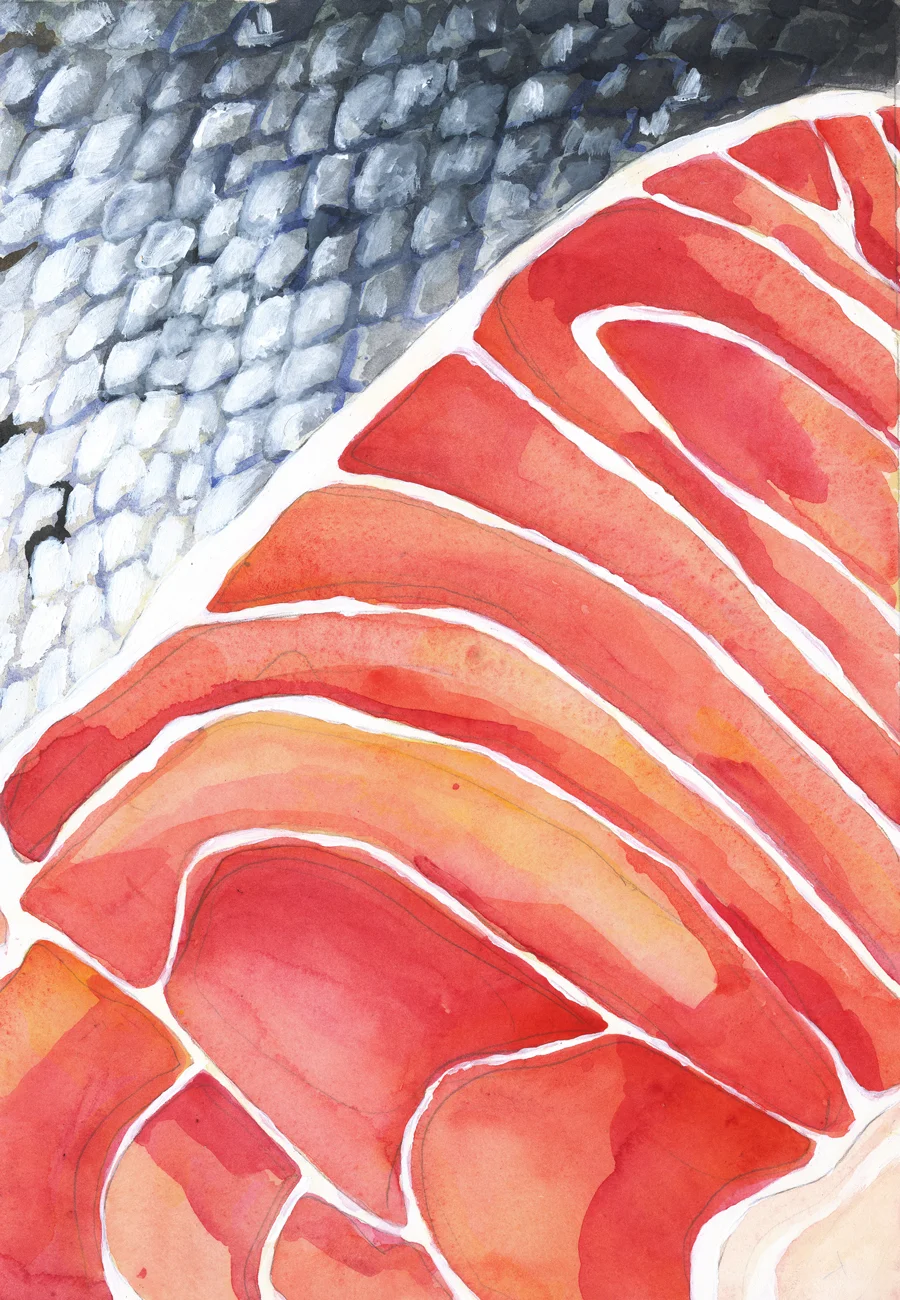 salmon_web.jpg