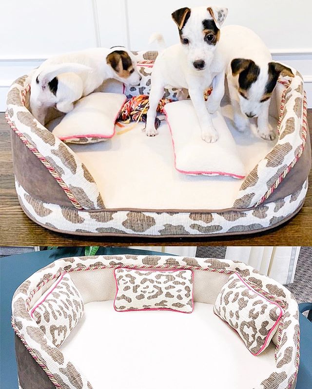 It was a pleasure to create this small gift, and I&rsquo;m glad the puppies love their new bed! It was made with much love &hearts;️ ⠀⠀⠀⠀⠀⠀⠀⠀⠀⠀⠀⠀ ⠀⠀⠀⠀⠀⠀⠀⠀⠀⠀⠀⠀ ⠀⠀⠀⠀⠀⠀⠀⠀⠀⠀⠀⠀ ⠀⠀⠀⠀⠀⠀⠀⠀⠀⠀⠀⠀ ⠀⠀⠀⠀⠀⠀⠀⠀⠀⠀⠀⠀ ⠀⠀⠀⠀⠀⠀⠀⠀⠀⠀⠀⠀ ⠀⠀⠀⠀⠀⠀⠀⠀⠀⠀⠀⠀ ⠀⠀⠀⠀⠀⠀⠀⠀⠀⠀⠀⠀ ⠀⠀⠀⠀⠀⠀⠀⠀⠀⠀⠀⠀ 