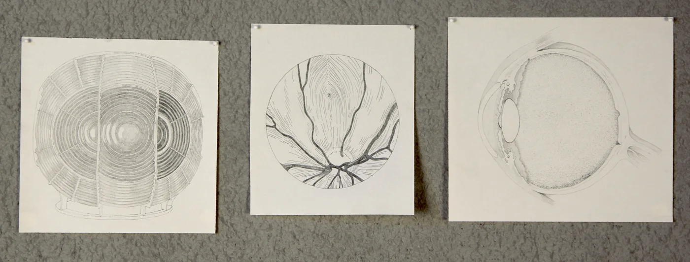 Opaque Optics, 2013 (detail)