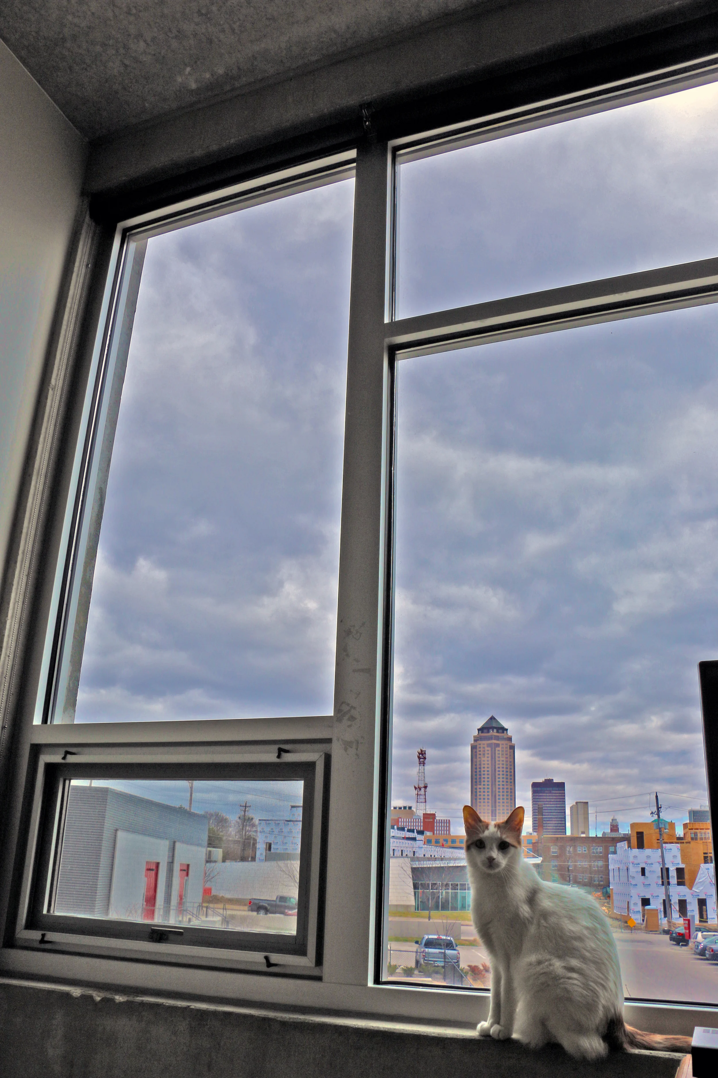 bella dsm skyline.jpg