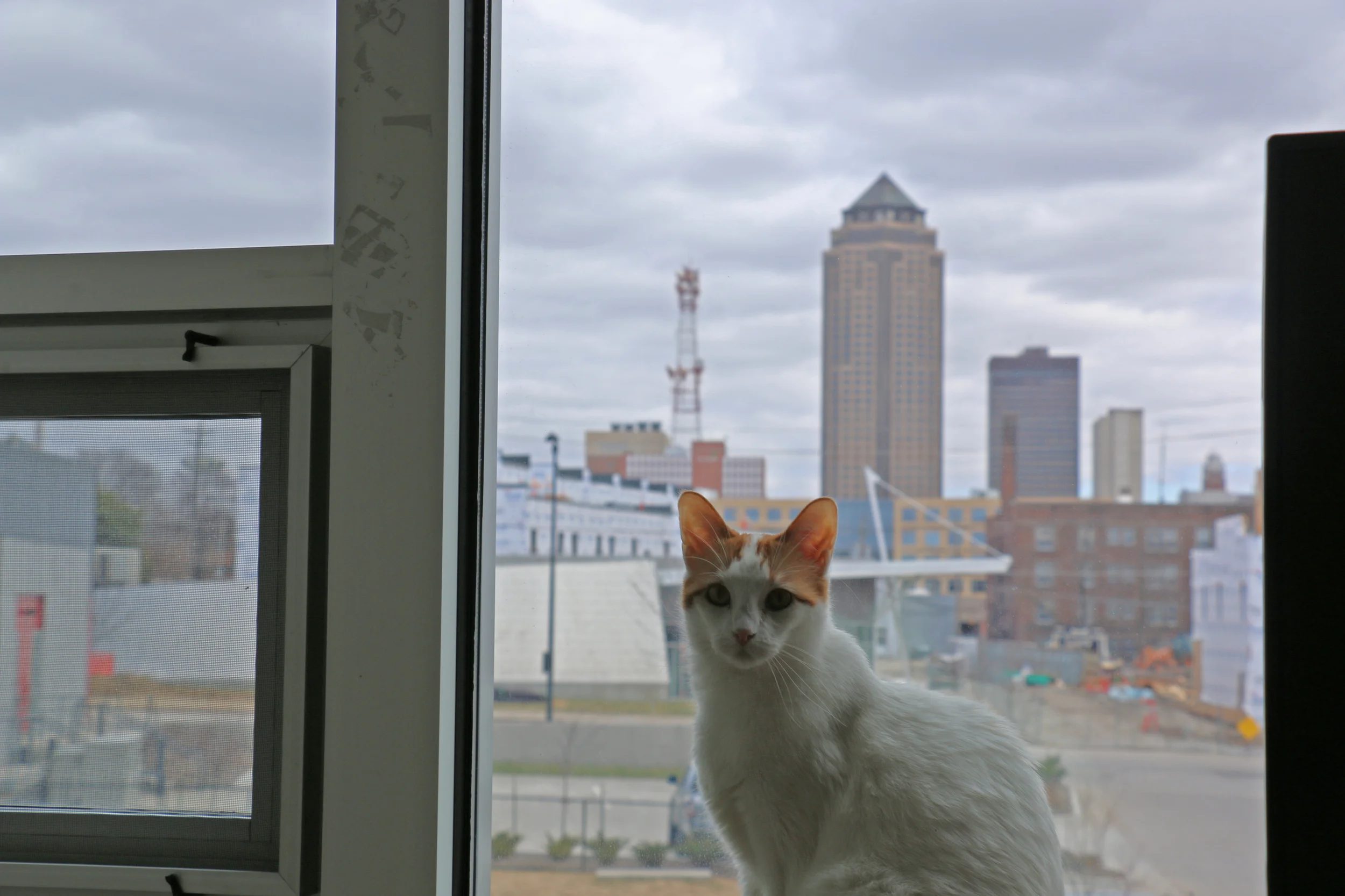 bella dsm skyline2.jpg