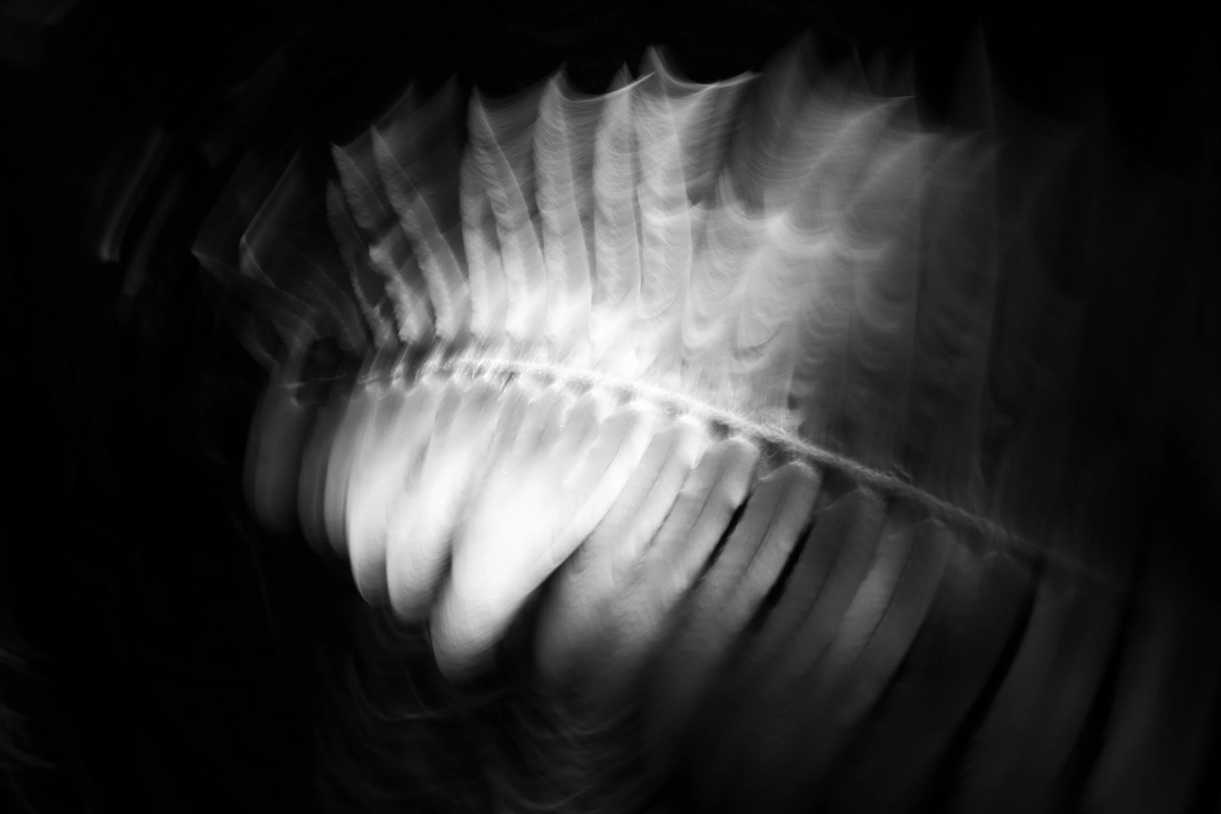 Black-and-white experimental photograph from the Wuduland series.