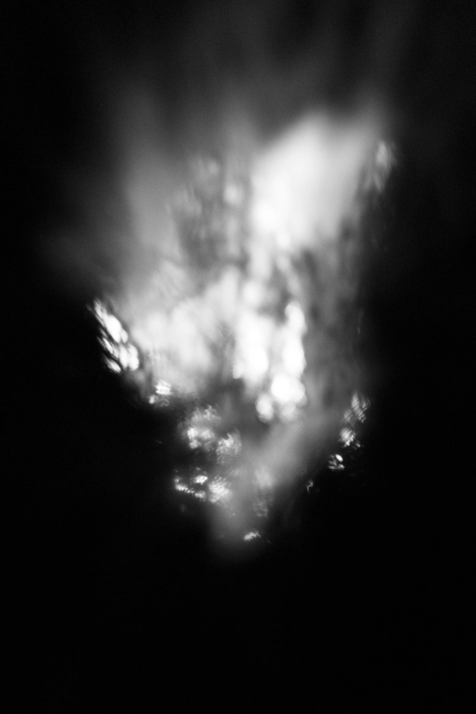 Black-and-white experimental photograph from the Wuduland series.