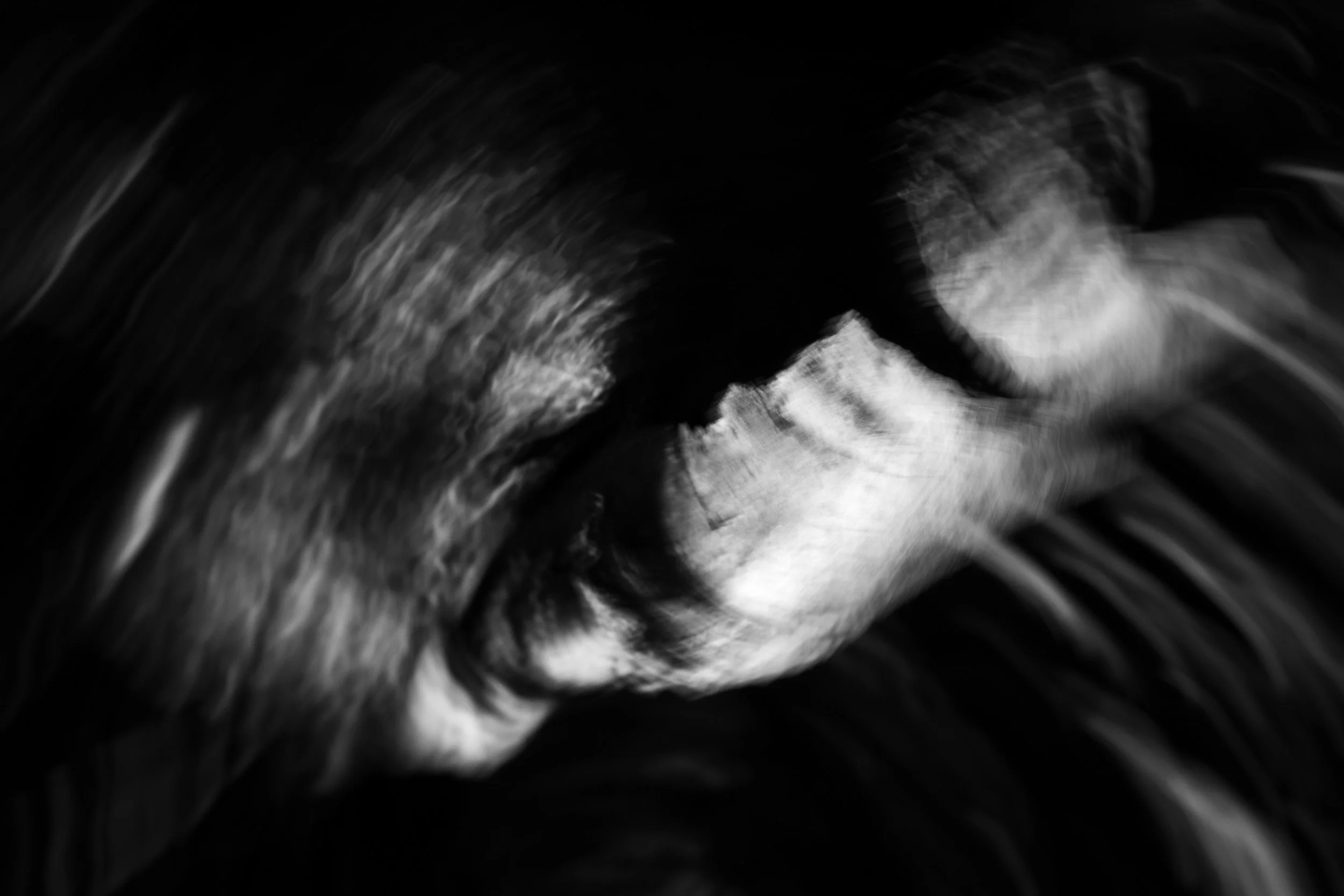 Black-and-white experimental photograph from the Wuduland series.