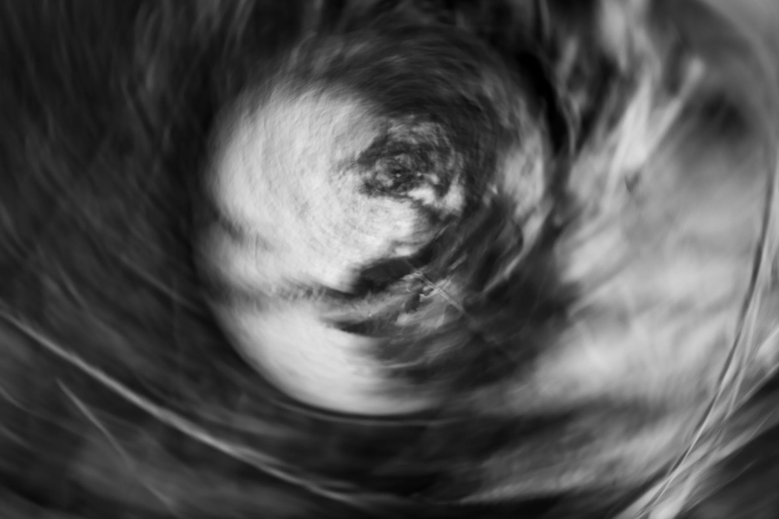Black-and-white photograph from the Wuduland series, depicting a natural environment with soft motion blur and high-contrast light.