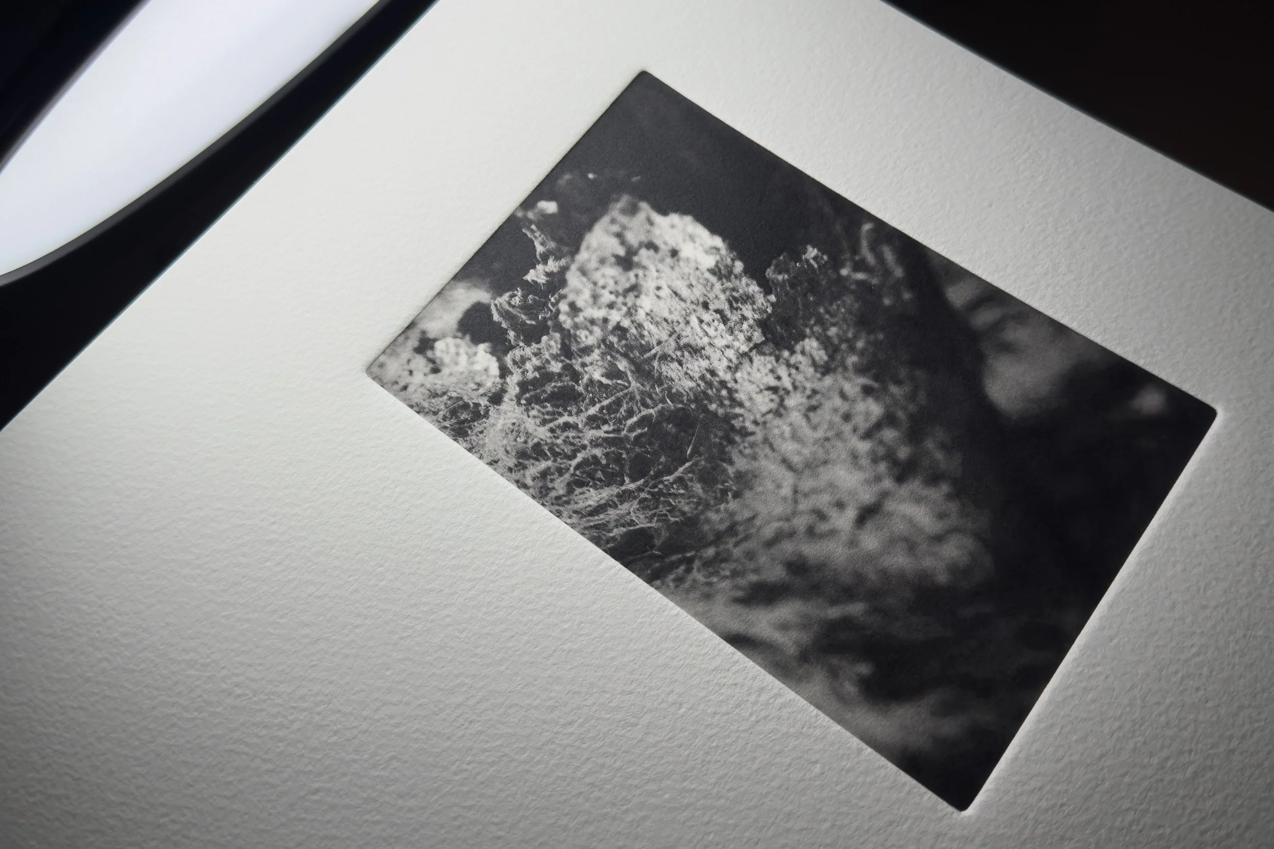 Photogravure print of a photograph from the Wuduland series.