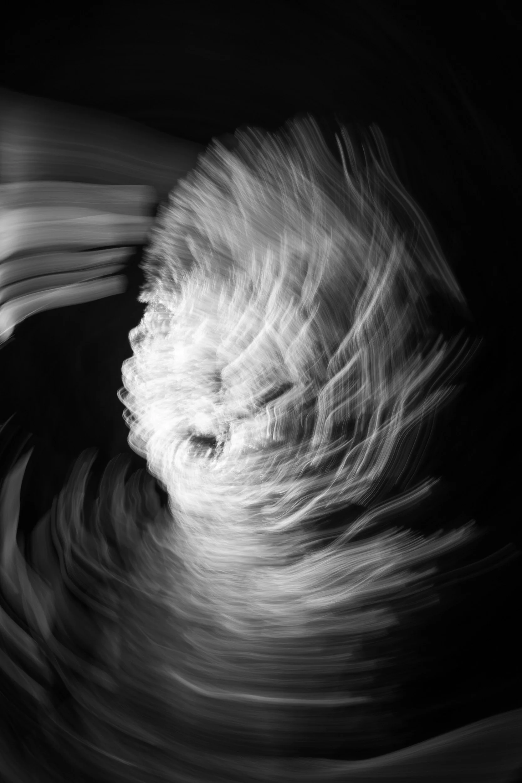 Black-and-white photograph from the Wuduland series, depicting a natural environment with soft motion blur and high-contrast light.